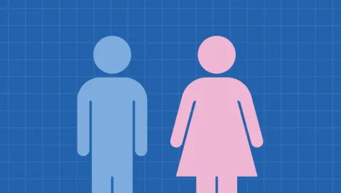 roles de género